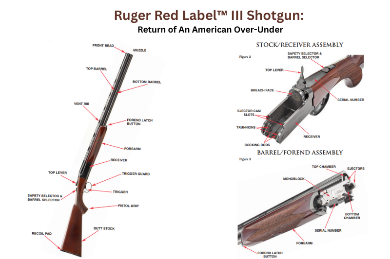 Ruger Red Label™ III Shotgun: Return of An American Over-Under